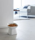 Tilted Pet Food Bowl